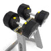 MX Select Adjustable Dumbbells and Adjustable Barbell & EZ Curl Package - MX Select - Ambient Home