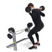 MX Select Adjustable Dumbbells and Adjustable Barbell & EZ Curl Package - MX Select - Ambient Home