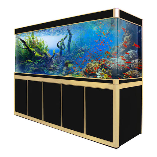 Aqua Dream 400 Gallon Tempered Glass Aquarium Black and Gold [AD-2300- —  Ambient Home
