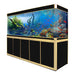 Aqua Dream 400 Gallon Tempered Glass Aquarium Black and Gold [AD-2300-BK] - Aquadream - Ambient Home