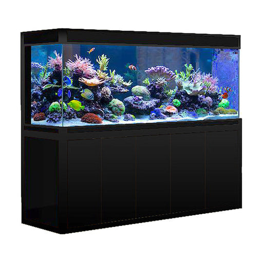 Aqua Dream 400 Gallon Tempered Glass Aquarium Black [AD-2320-BP] - Aquadream - Ambient Home