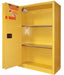 Securall  W2045 - 45 Gallon Hazardous Waste Storage Cabinet - Securall - Ambient Home