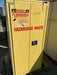 Securall  W3040 - 60 Gallon Hazardous Waste Storage Cabinet - Securall - Ambient Home