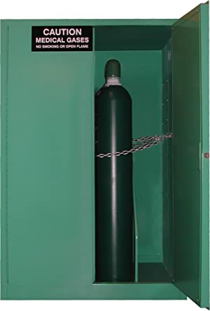 Securall MG109HE Medical Gas Cylinder Storage Self-Latch Standard Door, Empty Cylinders - Securall - Ambient Home