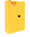 Securall  P360 - 60 Gallon Flammable Paint & Ink Storage Cabinet - Securall - Ambient Home