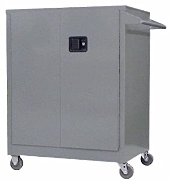 Securall  SW242 - Industrial Storage Cabinet - 21 Cubic Feet Capacity - Securall - Ambient Home