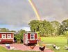 OverEZ Medium Chicken Coop - Up to 10 Chickens - OverEZ - Ambient Home