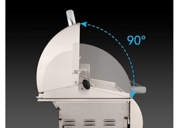 Fire Magic Grills A430S-8EAN-61 Aurora 29 1/2 Inch Portable Grill with Analog Thermometer and Rotisserie, Natural Gas, Cast Stainless Steel "E" - Fire Magic - Ambient Home