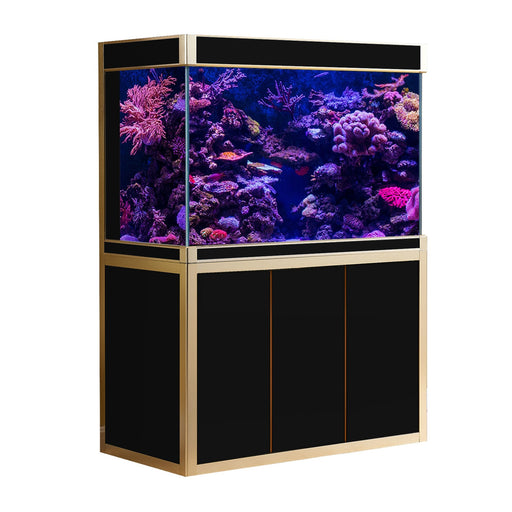 Aquadream Aquariums — Ambient Home