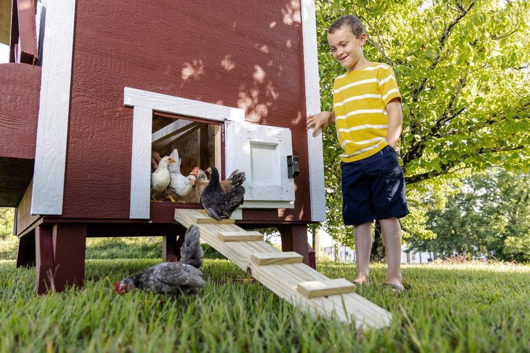 OverEZ Large Chicken Coop - Up to 15 Chickens - OverEZ - Ambient Home