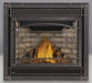 Napoleon Ascent X36 Direct-Vent Gas Fireplace - Napoleon - Ambient Home