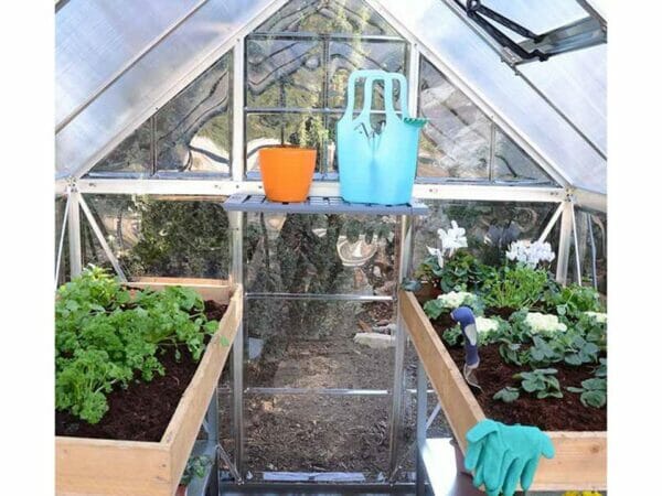 Palram - Canopia Hybrid Green 6 x 10 Hobby Greenhouse (HG5510G) - Palram - Ambient Home