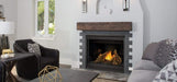 Napoleon Ascent 42 Gas Fireplace (Natural Gas - Alternate Ignition) - Napoleon - Ambient Home
