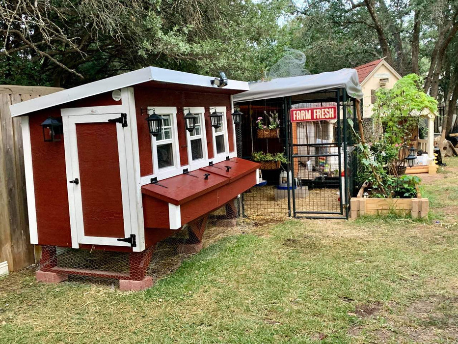 OverEZ XL Chicken Coop - Up to 20 Chickens - OverEZ - Ambient Home