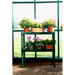 Palram - Canopia 8x16 Prestige 2 Greenhouse Kit - Twin Wall HG7316 - Palram - Ambient Home