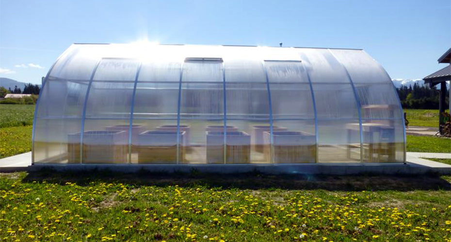 Exaco Hoklartherm RIGA XL Greenhouse - Exaco - Ambient Home