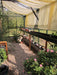 Exaco Victorian Greenhouse VI46 - Our Largest Victorian Style - Exaco - Ambient Home