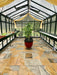 Exaco Victorian Greenhouse VI46 - Our Largest Victorian Style - Exaco - Ambient Home